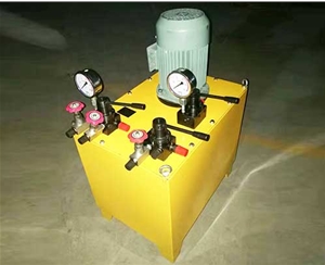 新疆非标电动泵生产
