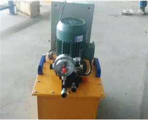 新疆标准电动泵供应生产